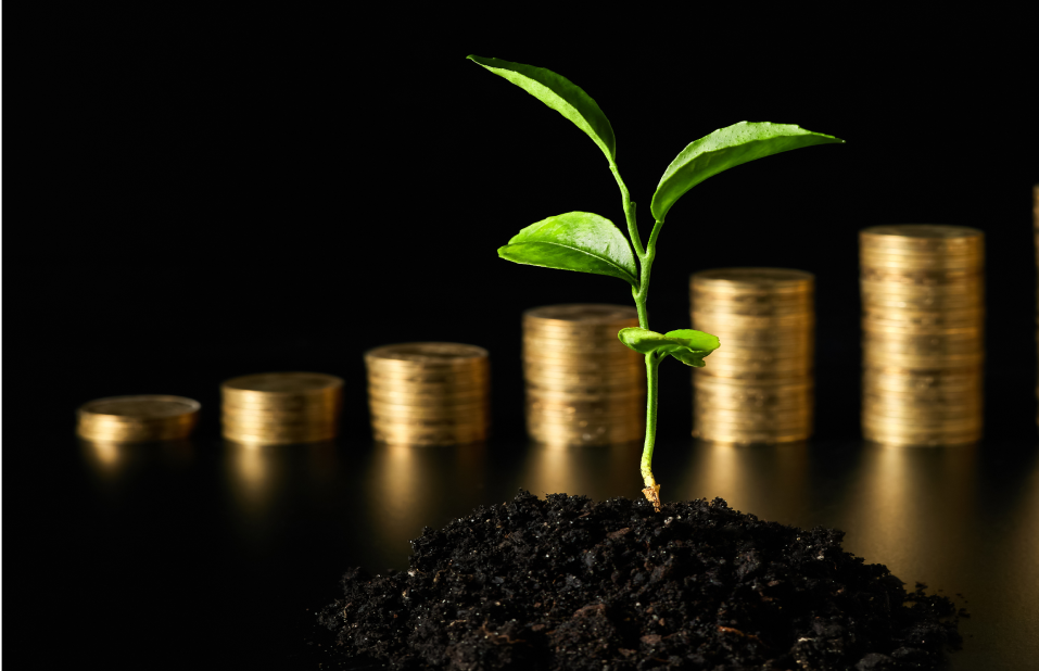 Monedas apiladas con plantas que simbolizan crecimiento de inversión