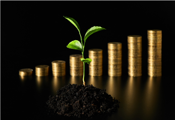 Monedas apiladas con plantas que simbolizan crecimiento de inversión