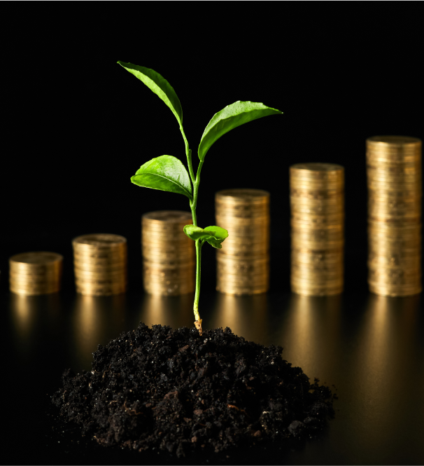 Monedas apiladas con plantas que simbolizan crecimiento de inversión